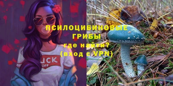 jwh Богородицк