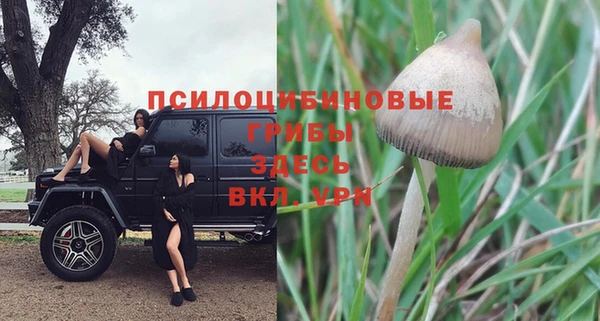 jwh Богородицк