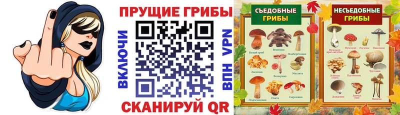Купить где  Гудермес  Галлюциногенные грибы MAGIC MUSHROOMS 