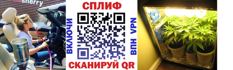 Купить закладки  Гудермес  Бошки марихуана AK-47 